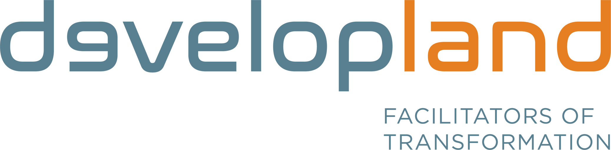 logo developland basis kleuren web